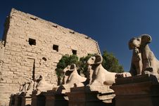 Sphinxes At Karnak Temple Stock Photos Sphinxes At Karnak Temple Stock Photos