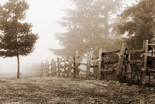 Foggy Countryside Stock Image Foggy Countryside Stock Image