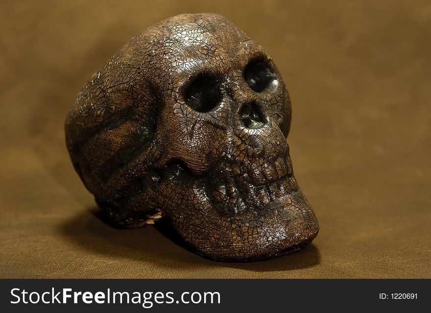 Photo of a Petrified Wooden Carved Skull