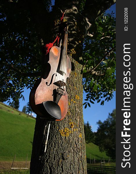 Old gipsy violin hangd on a tree