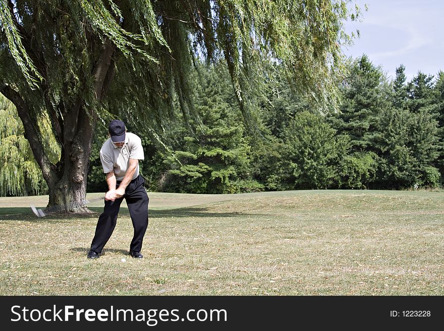 Golfer hitting from under beautiful willow tree - scenic golf course. Golfer hitting from under beautiful willow tree - scenic golf course