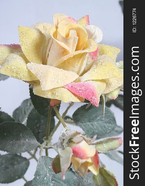 Artificial yellow rose with ice. Artificial yellow rose with ice