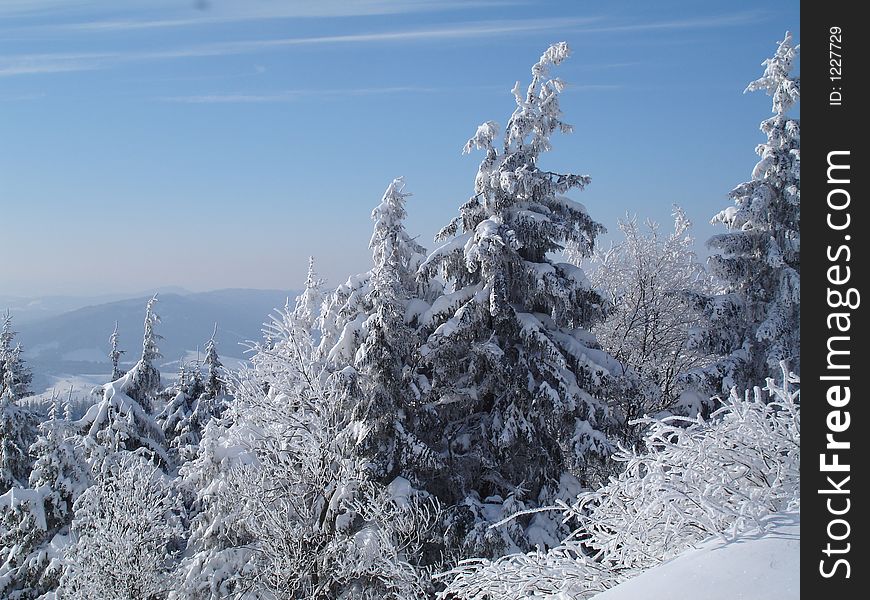 The Ukrainian mountains - Carpathians. The Ukrainian mountains - Carpathians