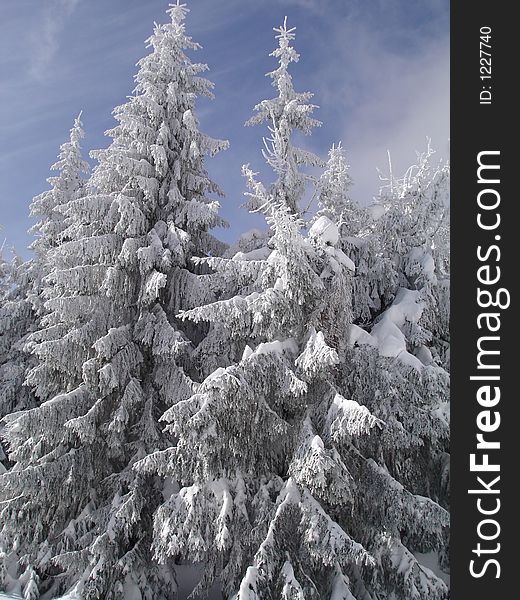 The Ukrainian mountains - Carpathians. The Ukrainian mountains - Carpathians