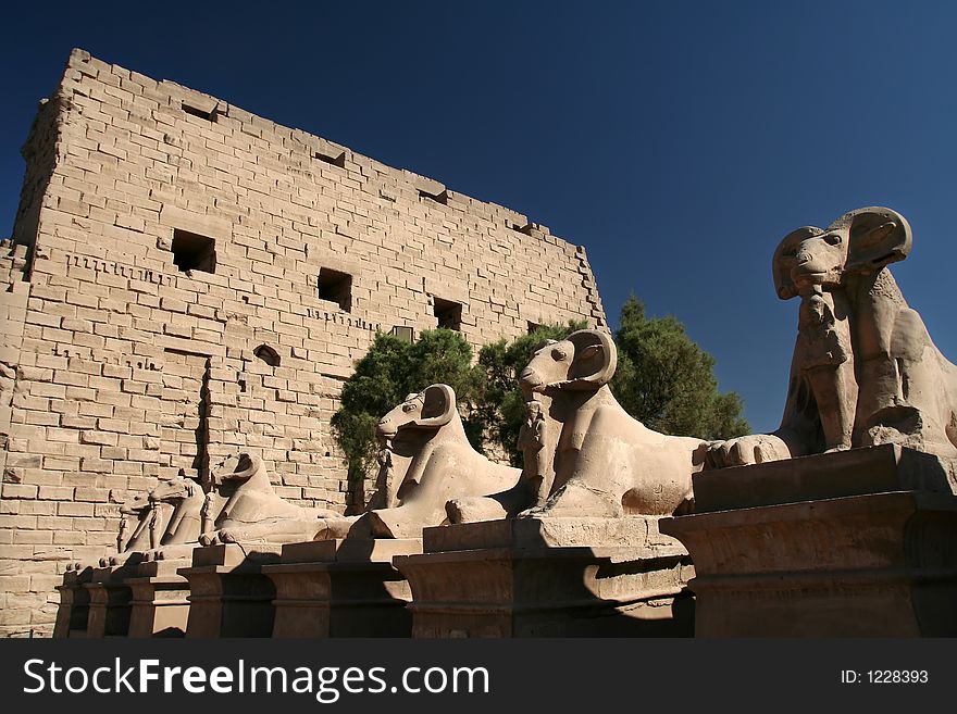 Row of spinxes in front of Karnak Temple, Luxor, Egypt. Row of spinxes in front of Karnak Temple, Luxor, Egypt