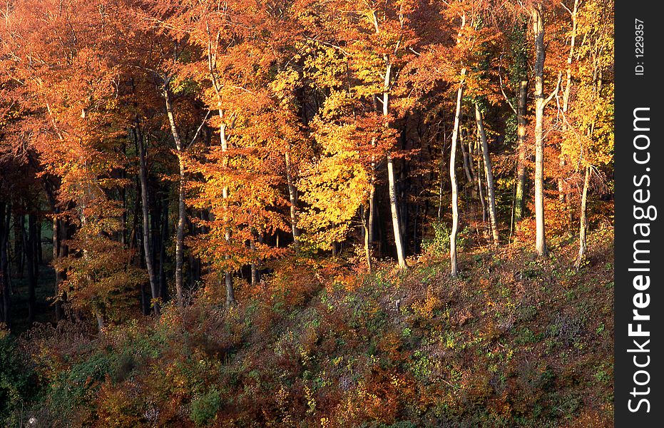 Autumn atmosphere in the mountains. Autumn atmosphere in the mountains