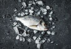 Raw Fresh Dorado On Ice Over Dark Stone Background. Stock Image Raw Fresh Dorado On Ice Over Dark Stone Background. Stock Image
