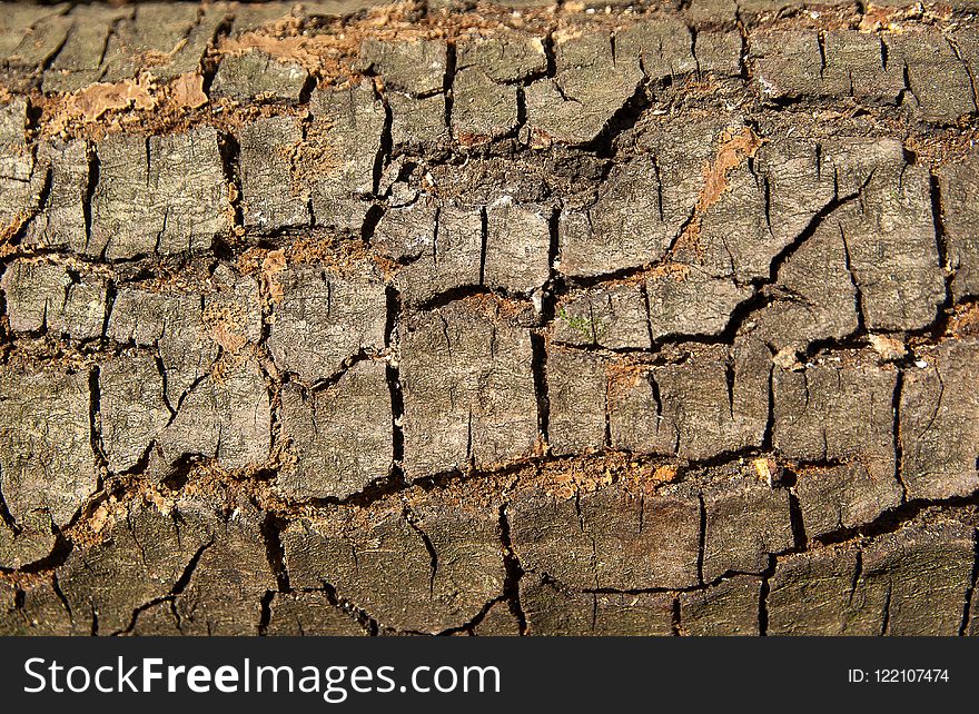 Soil, Wood, Tree, Wall