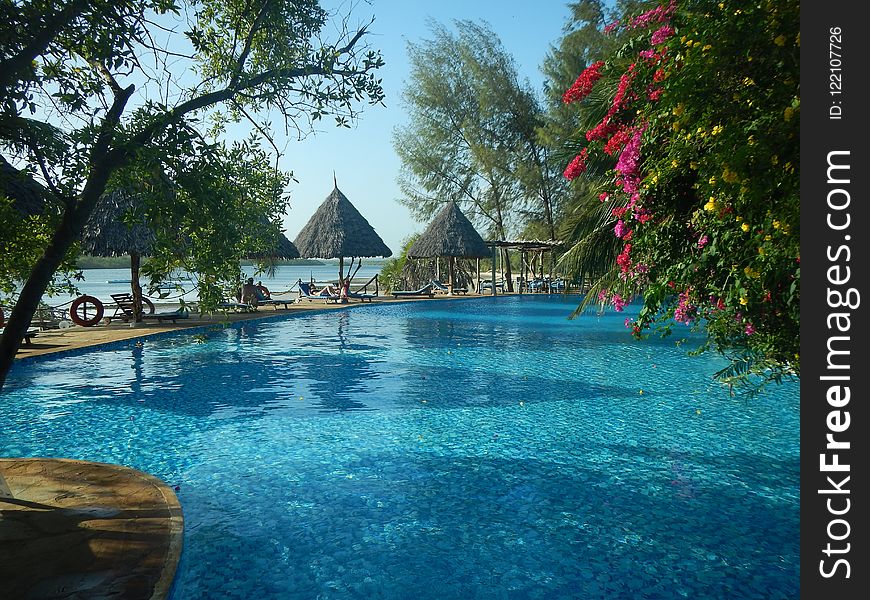 Water, Swimming Pool, Nature, Resort