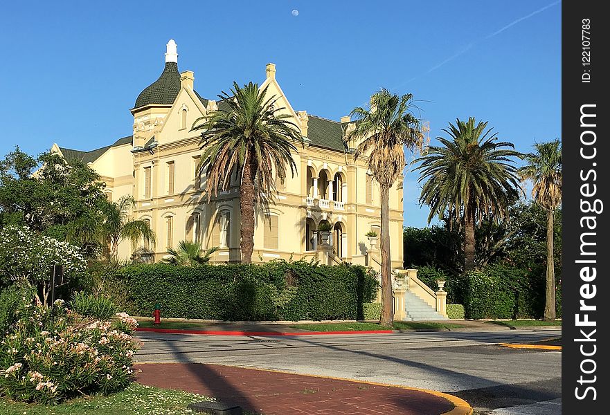 Landmark, Mansion, Palm Tree, Property