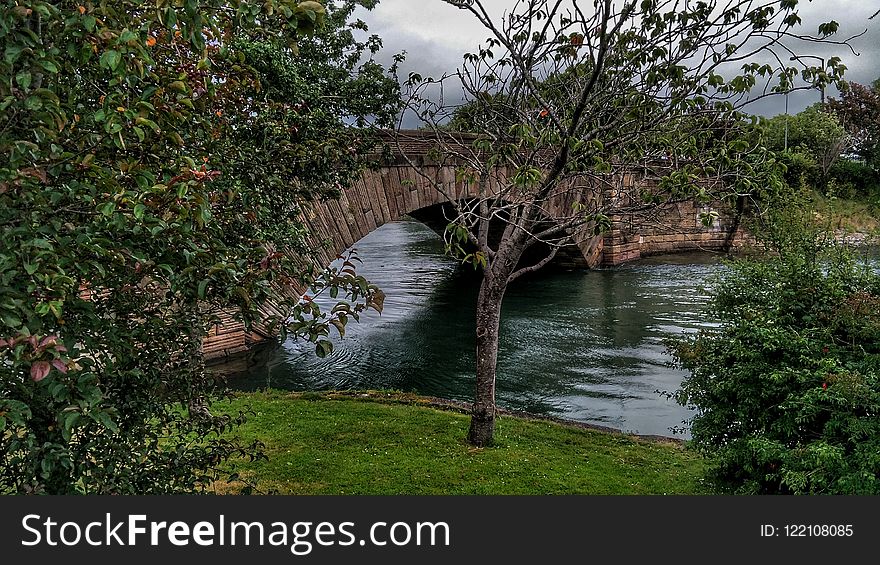 Water, Waterway, Nature Reserve, Vegetation