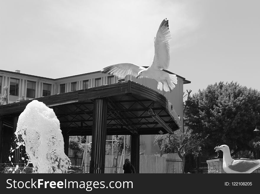 White, Black And White, Landmark, Statue
