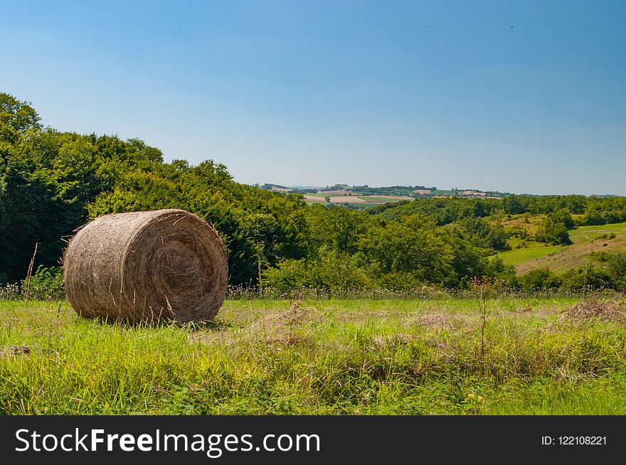 Grassland, Sky, Field, Pasture