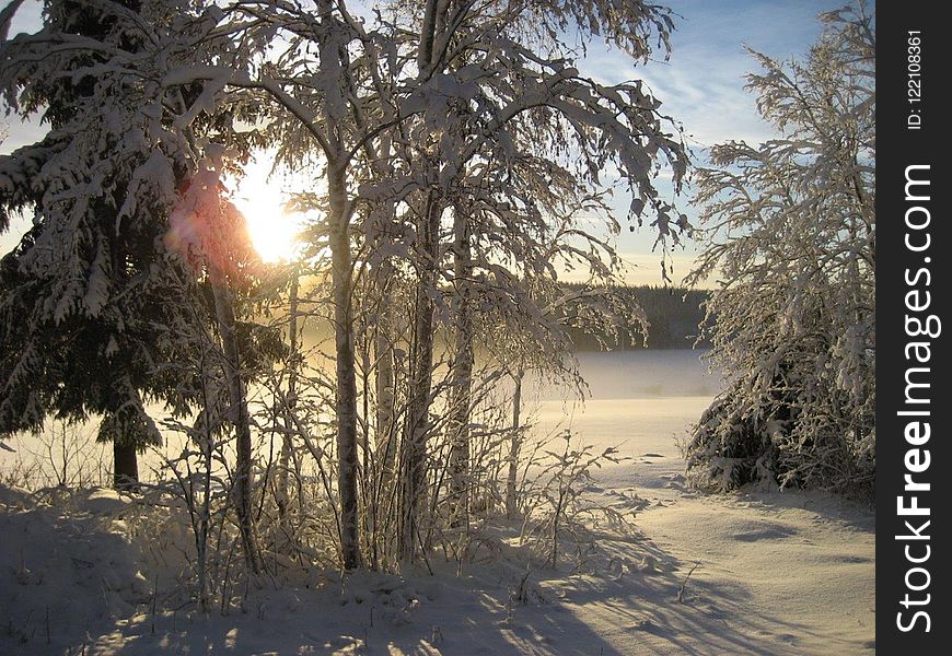 Winter, Snow, Sky, Tree