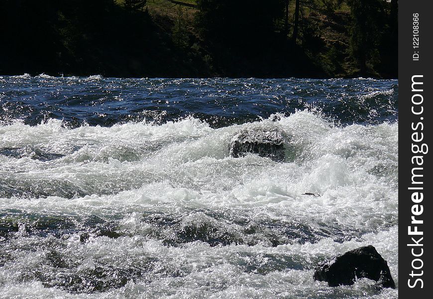 Rapid, Water, River, Nature