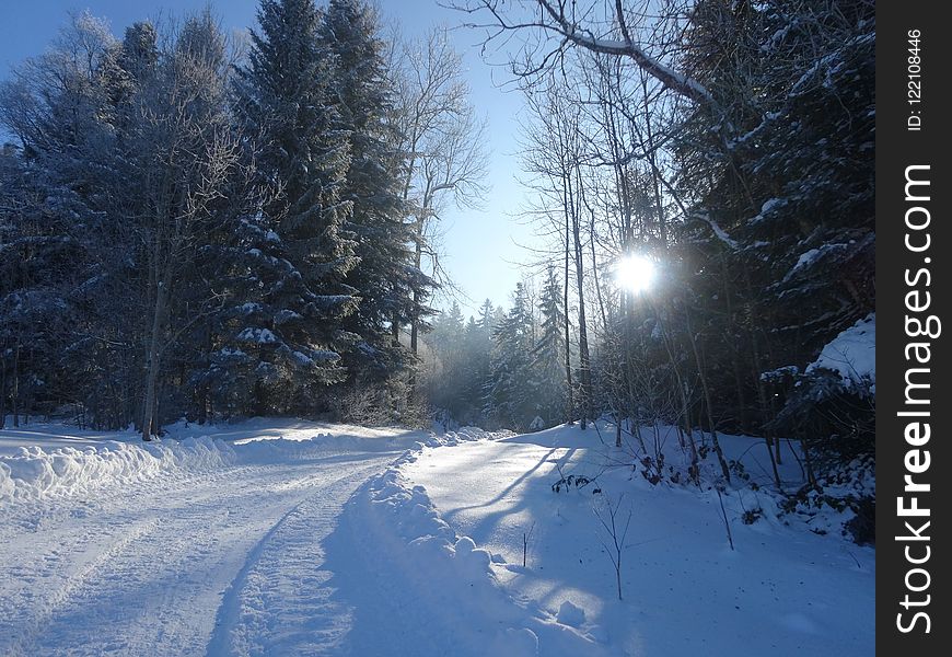 Snow, Winter, Sky, Freezing