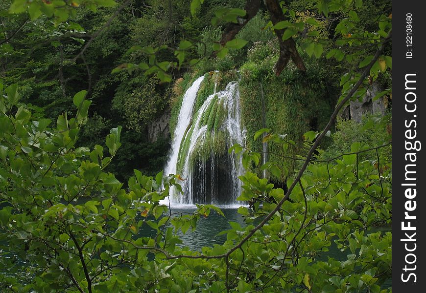 Waterfall, Vegetation, Nature, Nature Reserve