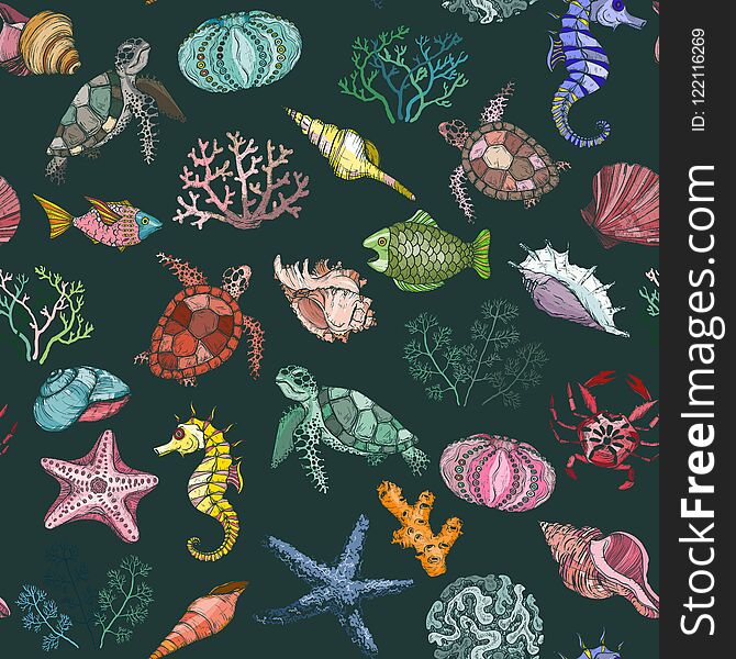 Seamless pattern with ocean organisms shells, fish, corals and turtle, vector illustration