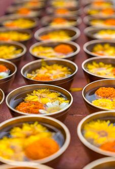 Buddhist Flower Offerings Or Gifts In Bowls And Rows Royalty Free Stock Images