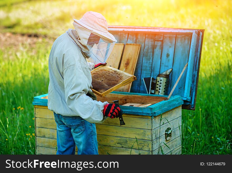 Apiary. The beekeeper works with bees near the hives.