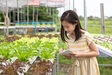 Asian Cute Girl Is Learning To Grow Organic Vegetables In The Fa Royalty Free Stock Photos