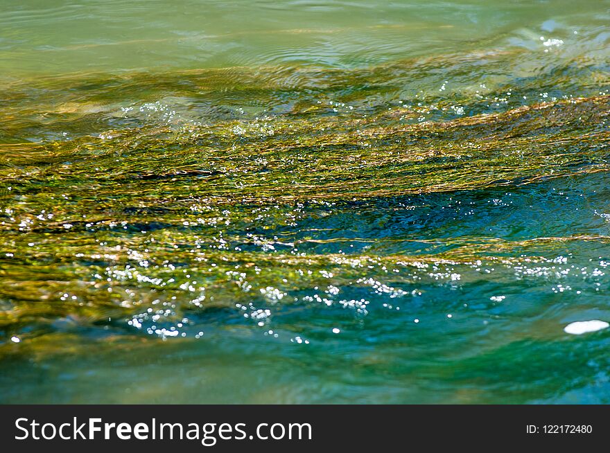 Green algae abstract. Algae polluted water. Algae floating in polluted water. Green Bubbles Background. Green algae abstract. Algae polluted water. Algae floating in polluted water. Green Bubbles Background.