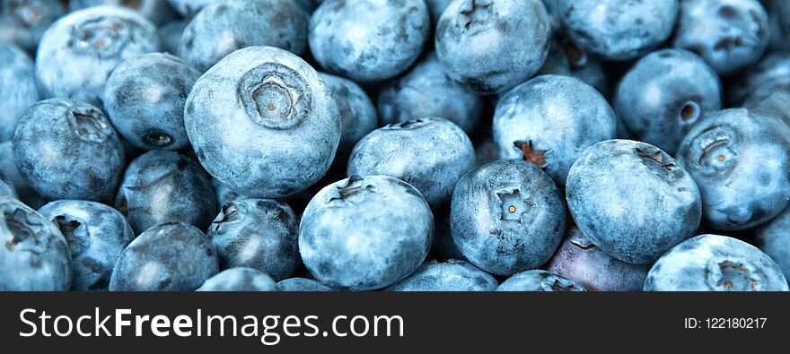 Fresh blueberry background. Blueberries texture close up