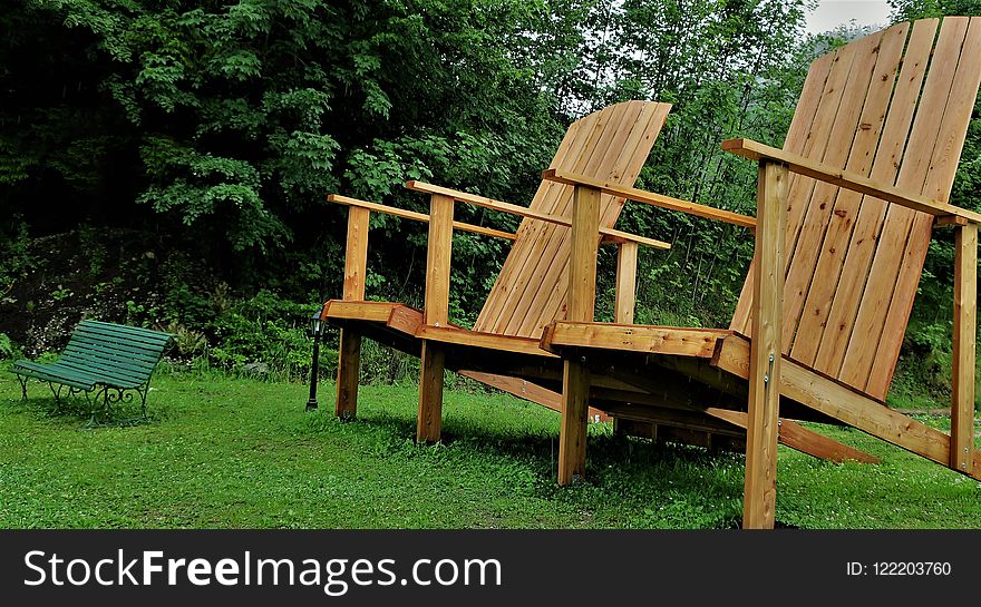 Furniture, Chair, Tree, Wood