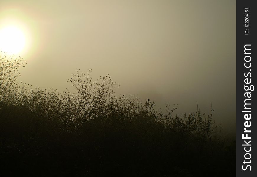Mist, Fog, Sky, Atmosphere