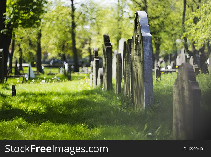 Cemetery, Grass, Tree, Grave