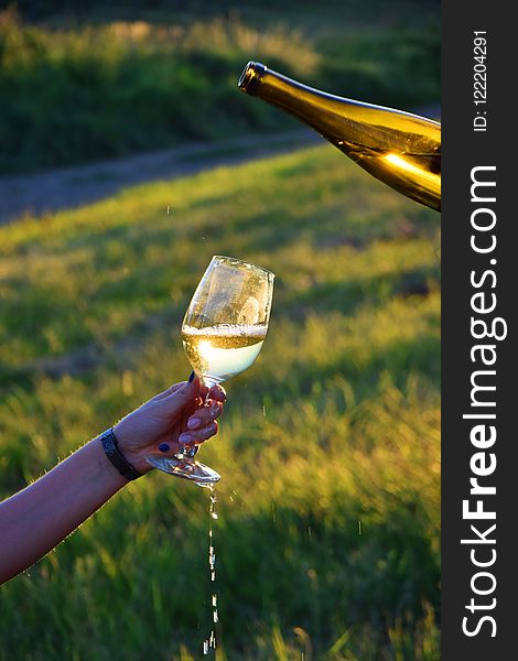 Water, Yellow, Grass, Wine Glass