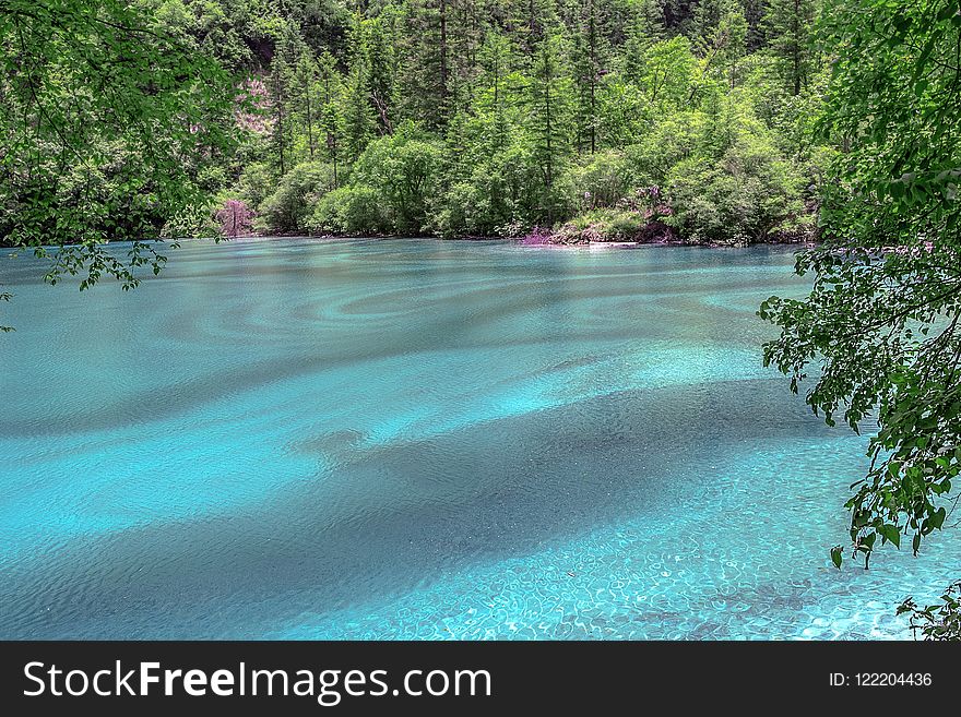 Nature, Water, Vegetation, Body Of Water