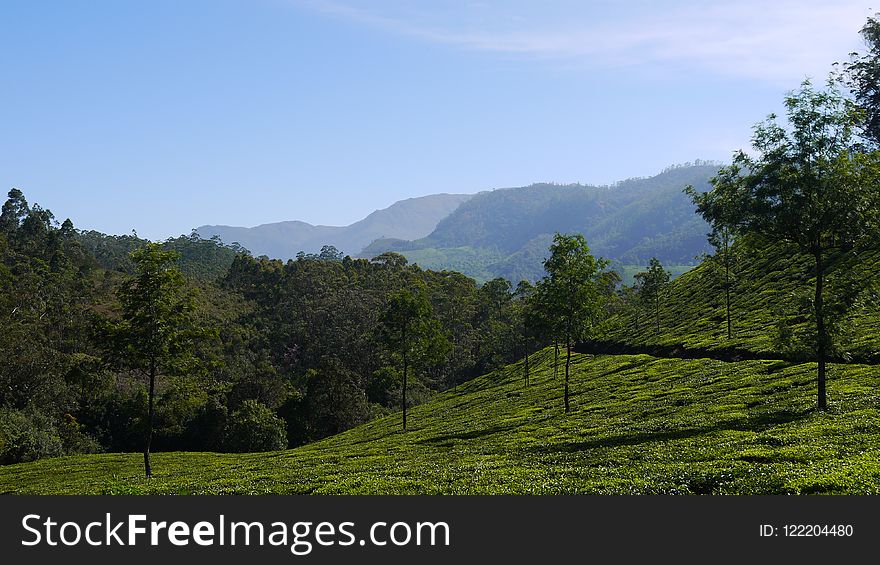 Grassland, Vegetation, Highland, Mountainous Landforms