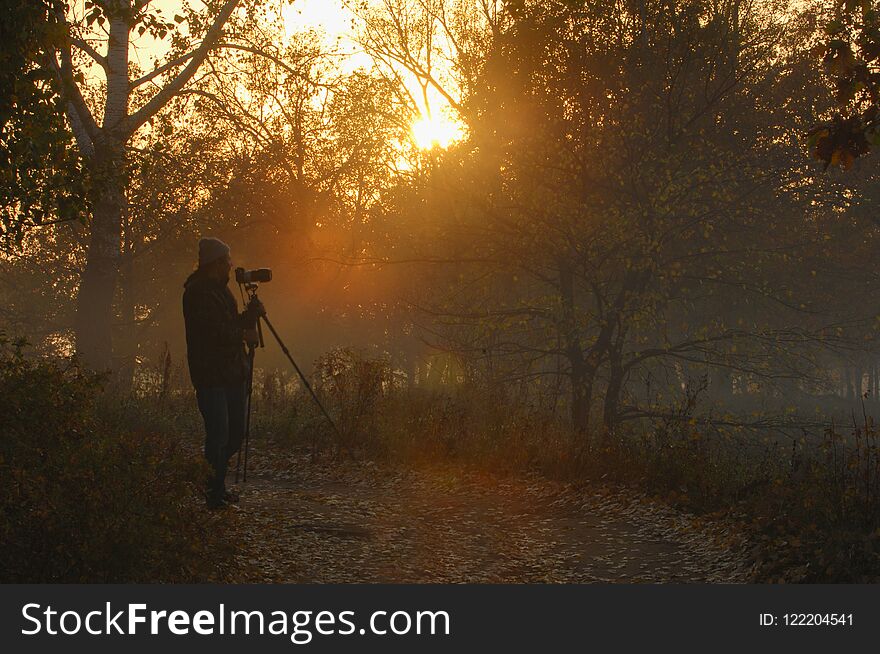 Autumn fog, sunrise in the forest. Forest with a sunrise in the background