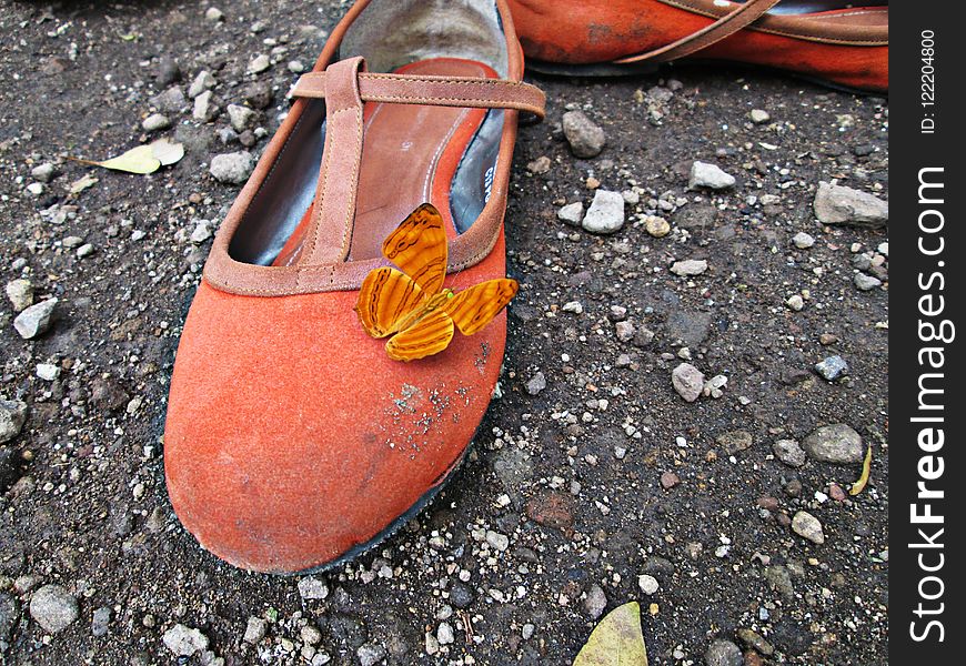 Footwear, Shoe, Orange, Outdoor Shoe