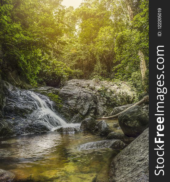 Water, Nature, Stream, Nature Reserve