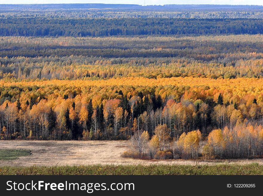 Colorful foliage in the autumn park. Collection of Beautiful Colorful Autumn Leaves / green, yellow, orange, red. Colorful foliage in the autumn park