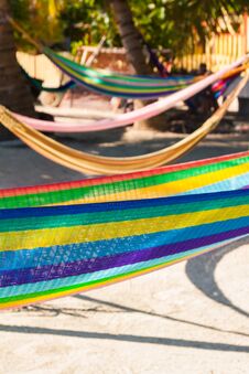 Multi Coloured Hammocks Hanging On Tropical Palm Trees Royalty Free Stock Image