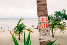 No Loiter Sign On Palm Tree And Overcast Caribbean Sea Stock Photography