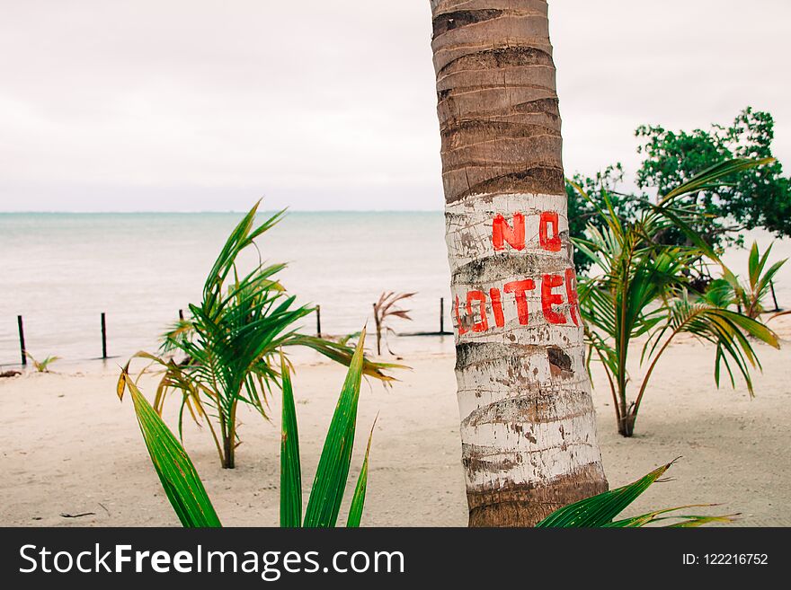 No Loiter Sign Hand Painted on Palm Tree and Overcast Caribbean Sea. No Loiter Sign Hand Painted on Palm Tree and Overcast Caribbean Sea