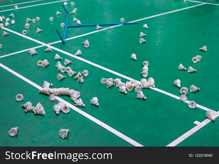 Badminton Shuttlecock With White Line On Green Court