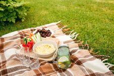 Picnic On The Grass In The Park, On A Checkered Brown Plaid Snacks, Vegetables, Fruits, Water In The Bank And Glasses, Without Pe Royalty Free Stock Photos