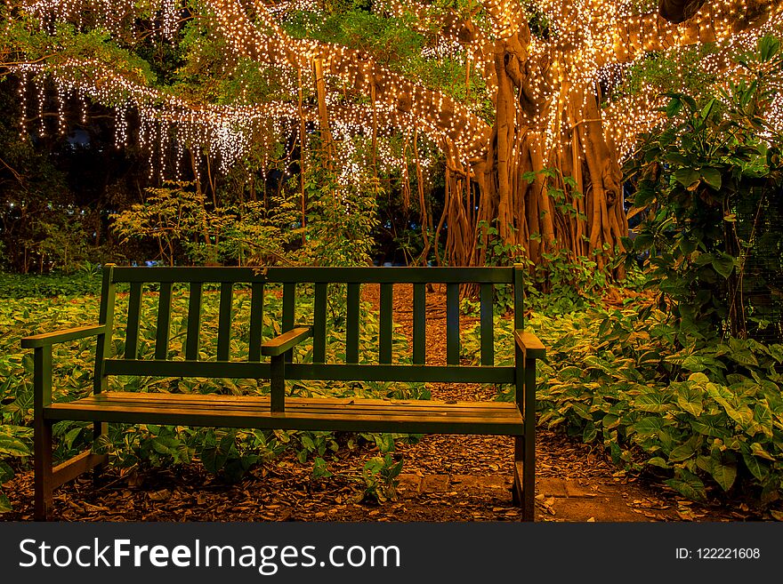 Single park bench under a tree covered in millions of fairy lights. Single park bench under a tree covered in millions of fairy lights