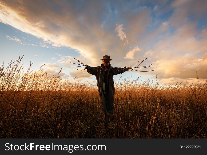 Scary scarecrow in a hat on a cornfield in orange sunset background. Halloween holiday concept