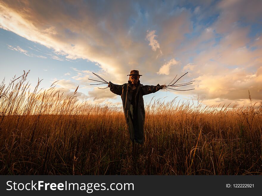 Scary Scarecrow In A Hat