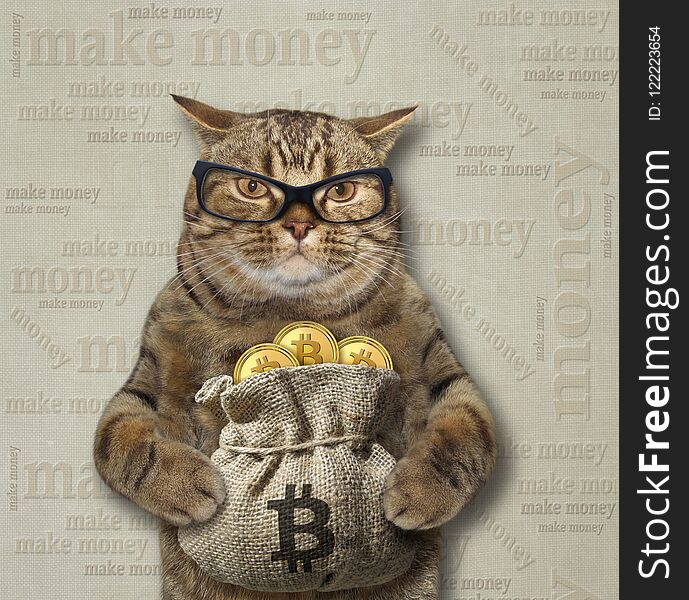 Cat With A Sack Of Bitcoins 2