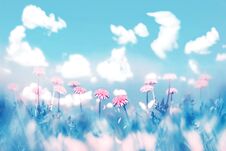 Delicate Pink Flowers On Blue Sky Background With Clouds. Summer Spring Natural Image. Pastel Shades Stock Photo