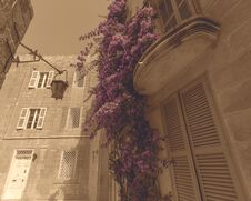 Maltese Buildings With Flowers Hanging From Balcony Stock Photo Maltese Buildings With Flowers Hanging From Balcony Stock Photo