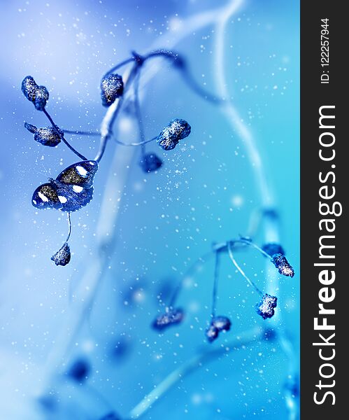Beautiful butterfly and blue wild berries in the snow and frost on a blue background. Snowing. Artistic winter natural image. Sel