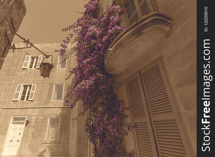 Maltese Buildings with Flowers hanging from balcony, selective colour on sepia background